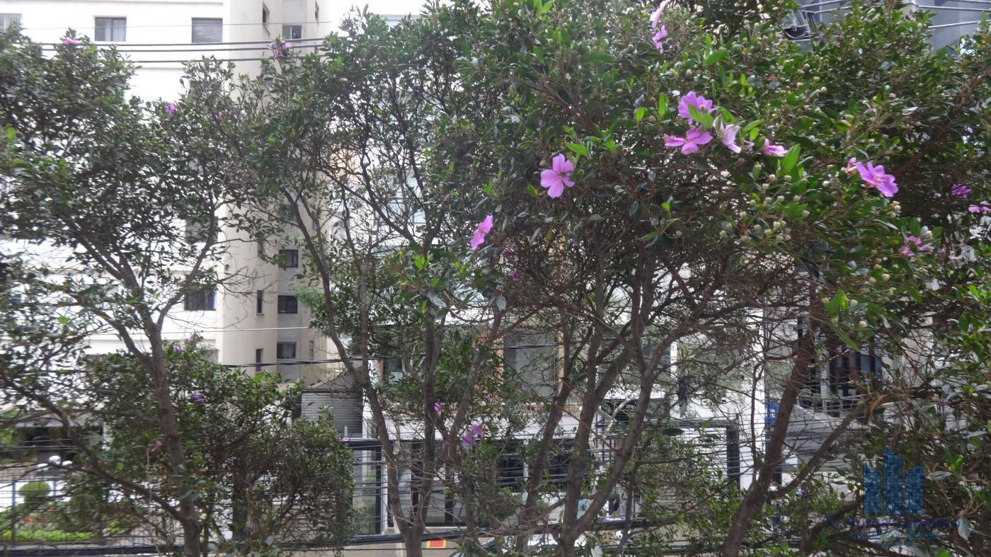 Vista do Dormitrio 1